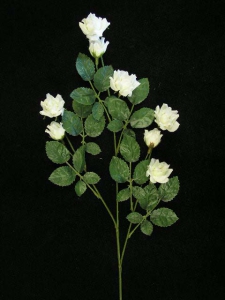 Small Diamond Rose, cream (lot of 24)