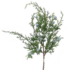 Juniper Pick x 4 (lot of 1 Bundle - 12 Pcs Per Bundle) SALE ITEM