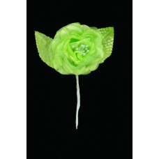 Apple Green Open Rose  (Lot of 12) SALE ITEM