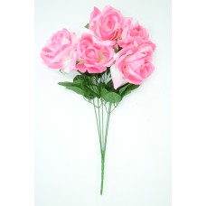 Pink Satin May Rose Bush x5  (Lot of 1) SALE ITEM