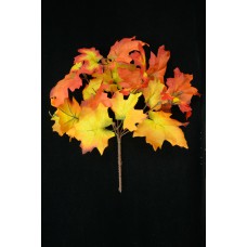 Orange Maple Leaf Bush x7 (Lot of 1) SALE ITEM