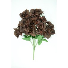Chocolate Micro Peach Open Rose Bush With Veins x 12 (Lot of 1) SALE ITEM