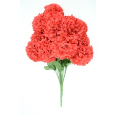 Red Carnation Bush x12  (Lot of 1) SALE ITEM