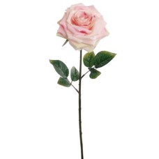 Pink Open Rose (lot of 12) SALE ITEM