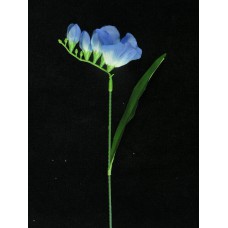 Freesia Pick, blue (lot of 72)