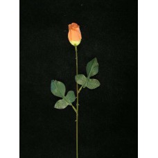 Rosebud, celtic gold (lot of 24)