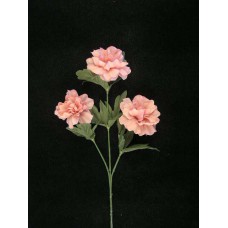 Peony, mauve (lot of 12)