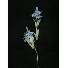Pastel Water Color Mini Tiger Lily, Blue, Artificial Silk Flower (Lot of 12)