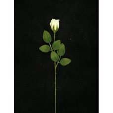 Single Rosebud, candle, 15.5 inch (lot of 24)