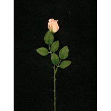 Small Rosebud, peach (lot of 24)