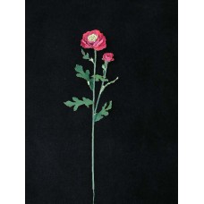 Latex Poppy, beauty, Artificial Silk Flower (lot of 24)