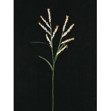 Handwrap Wheat Grass, candle (lot of 12)