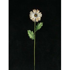 Handwrap Gerber Daisy, gray (lot of 12)