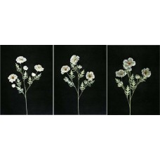 Pastel Water Color Anemone Spray, Gray, Artificial Silk Flower (Lot of 12)