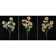 Pastel Water Color Daisy, mauve combo (lot of 12)