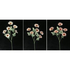 Pastel Water Color Daisy, pink combo (lot of 12)