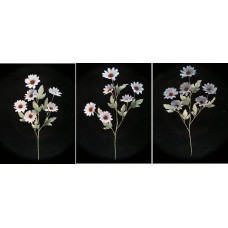 Pastel Water Color Daisy, Wedgewood Blue (Lot of 12)