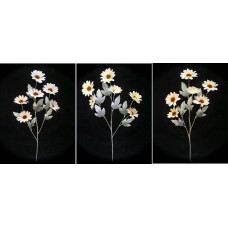 Pastel Water Color Daisy, Yellow (Lot of 12)