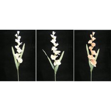 Pastel Water Color Gladiola Spray, Peach (Lot of 6)
