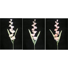 Pastel Water Color Gladiola Spray, Pink (Lot of 6)