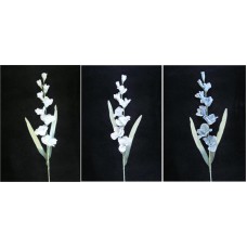 Pastel Water Color Gladiolus Spray, wedgewood blue, 35 inch (lot of 6)