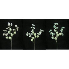Pastel Water Color Dogwood Spray, Aquamarine, Artificial Silk Flower (Lot of 12)