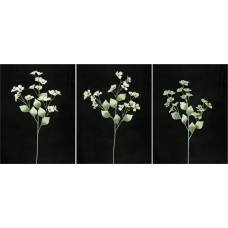 Pastel Water Color Dogwood Spray, Seagreen Mist, Artificial Silk Flower (Lot of 12)