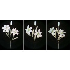 Pastel Water Color Tiger Lily, aquamarine combo (lot of 12) 