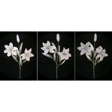 Pastel Water Color Tiger Lily, gray combo (lot of 12) 