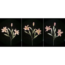 Pastel Water Color Tiger Lily, mauve combo (lot of 12)