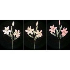 Pastel Water Color Tiger Lily, Peach (Lot of 12)