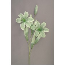 Pastel Water Color Tiger Lily  Silk Flower, Sea Mist Green combo, Lot of 12