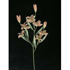 Pastel Water Color Tiger Lily, mauve combo (lot of 12)