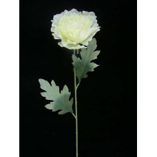 Pastel Water Color Single Peony, Large, Yellow combo (lot of 12)