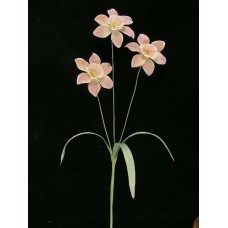 Pastel Water Color Daffodil Spray, Mauve (Lot of 12)