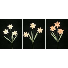 Pastel Water Color Daffodil Spray, peach combo (lot of 12)
