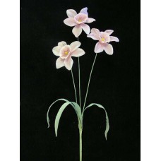 Pastel Water Color Daffodil Spray, pink combo (lot of 12)