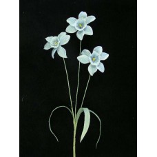 Pastel Water Color Daffodil Spray, Wedgewood blue combo (lot of 12)