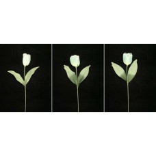 Pastel Water Color Tulip Spray, Aquamarine Combo, Artificial Silk Flower (Lot of 12)