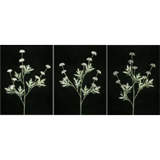 Pastel Water Color Pom Pom Chrysanthemum, Gray Combo, Artificial Silk Flower (Lot of 12)