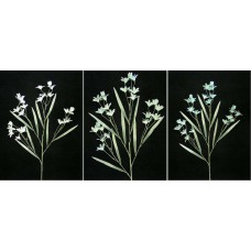 Pastel Water Color Peruviana, Aquamarine Combo (Lot of 12)