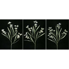 Pastel Water Color Peruviana, Gray Combo (Lot of 12)