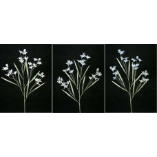 Pastel Water Color Peruviana, Wedgewood Blue Combo (Lot of 12)