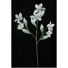 Pastel Water Color Azalea, Gray combo (lot of 12)