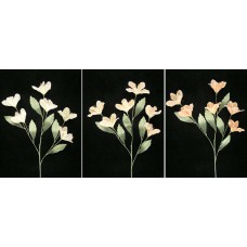 Pastel Water Color Azalea, Peach combo (lot of 12)