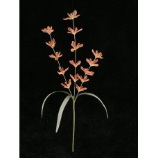 Pastel Water Color Lobelia Spray, Coral Combo (Lot of 12)