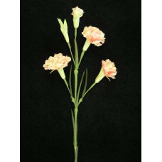 Handwrap Carnation, apricot (lot of 12)