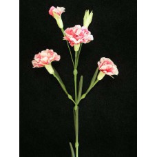 Handwrap Carnation, rose (lot of 12)