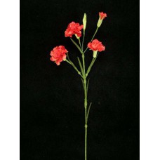 Handwrap Carnation, salmon (lot of 12)