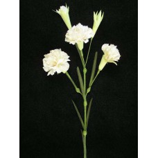 Handwrap Carnation, Navajo White (lot of 12)